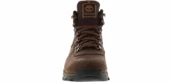 Hiking Boots|Short Boots|TIMBERLAND Maddsen Men's Hiking Boot Brown